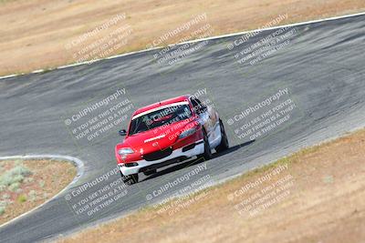 media/May-06-2023-Lucky Dog Racing (Sat) [[8f2256f436]]/Turn 2 10a/